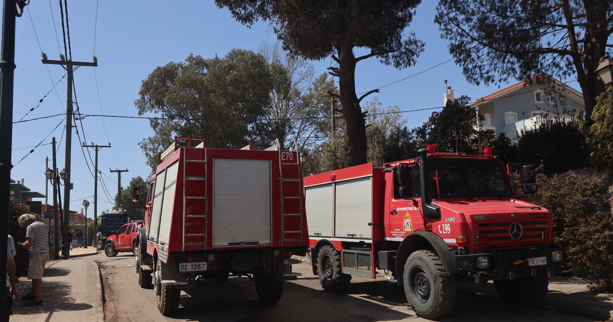 Φωτιά τώρα στη Θεσσαλονίκη: Επιχειρούν 26 πυροσβέστες, εθελοντές και εναέρια μέσα