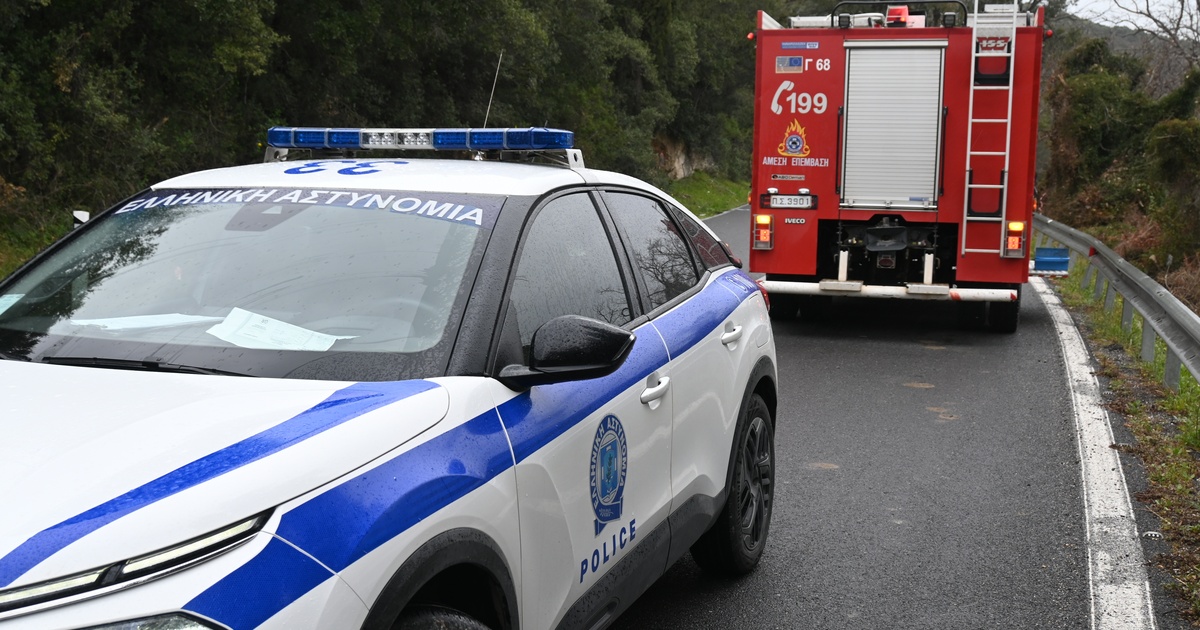 Φωτιά στο Άλσος Βεΐκου: Χειροπέδες στον 45χρονο μελισσοκόμο – Αντιμέτωπος με τη Δικαιοσύνη