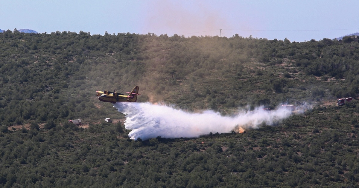 Φωτιά τώρα στην Εύβοια: Ισχυρές δυνάμεις στο Σπαθάρι