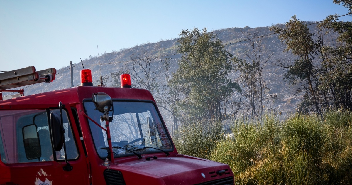 Υπό έλεγχο η μεγάλη φωτιά στην Βοιωτία: Παραμένουν δυνάμεις της Πυροσβεστικής στην περιοχή