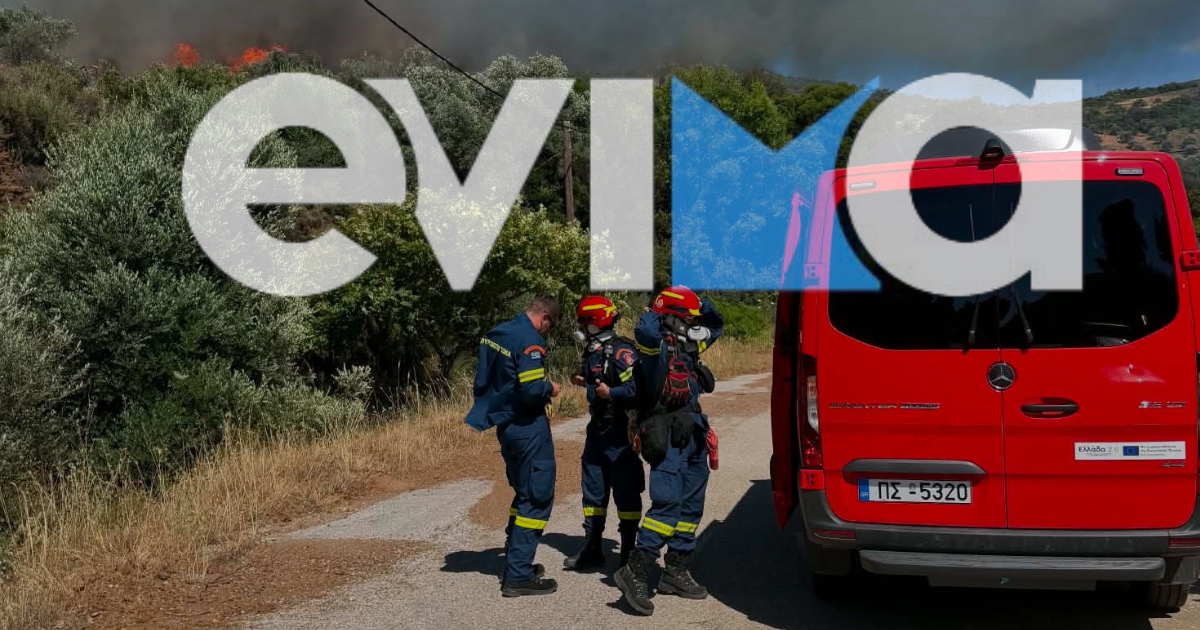 Φωτιά τώρα στην Κάρυστο - Μεγάλη δύναμη στο σημείο και εναέρια μέσα
