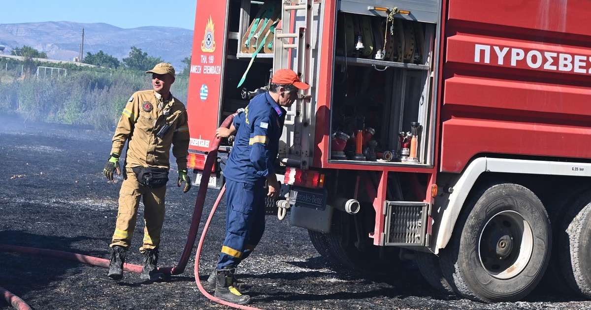 Πυροσβεστική: Συλλήψεις και πρόστιμα για αγροτικές πυρκαγιές σε Λακωνία και Αχαΐα