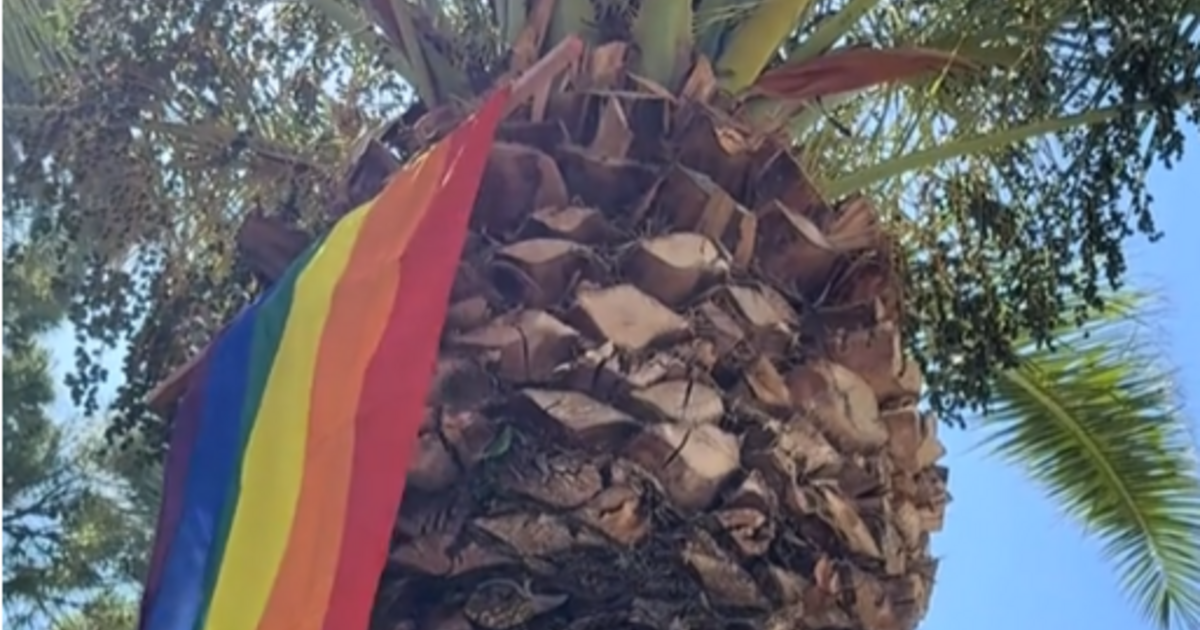 «Το Πάντειο συμμετέχει στο Pride»: Η πολύχρωμη σημαία που τοποθετήθηκε στο πανεπιστήμιο