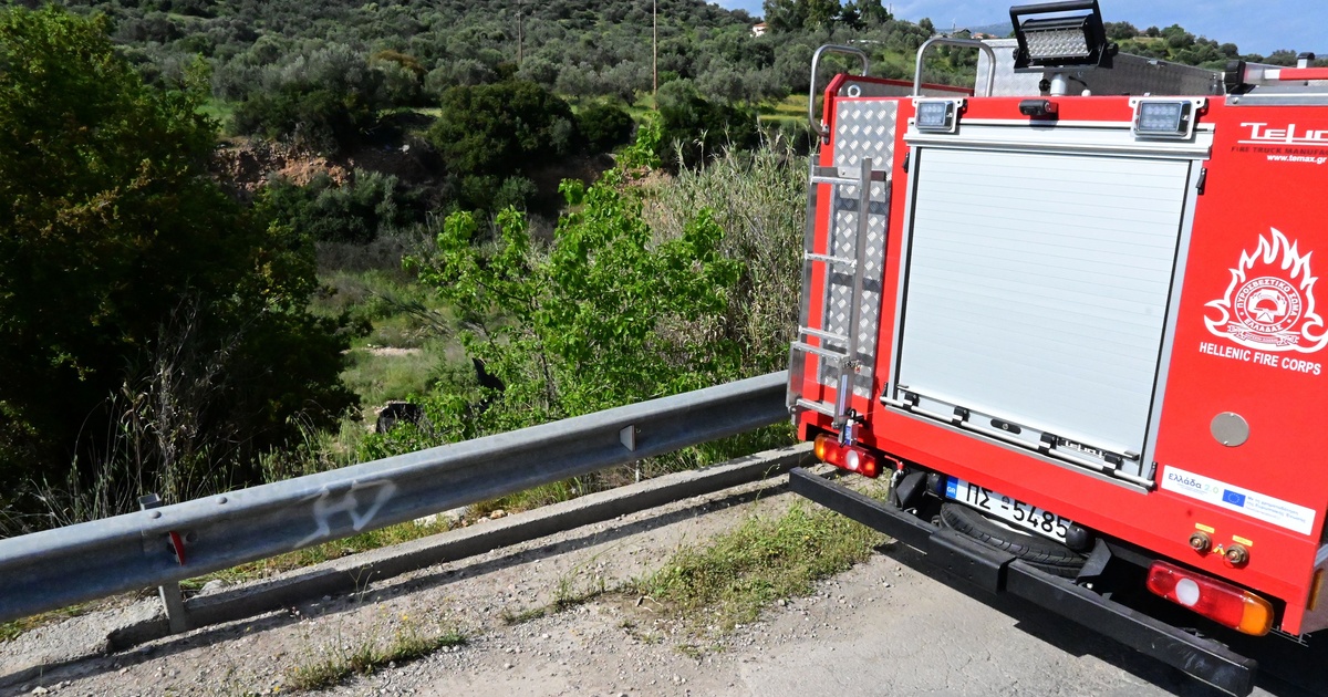 Φωτιά σε Φθιώτιδα και Φάρσαλα - Επιχειρούν τουλάχιστον πέντε αεροσκάφη