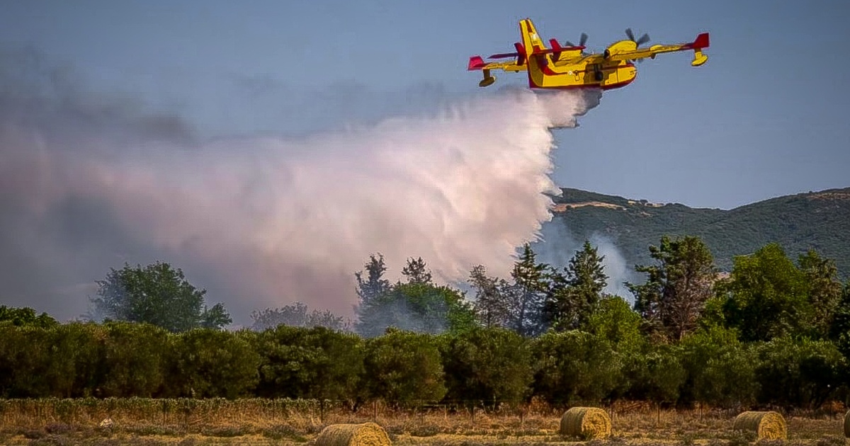 Φωτιά στα Βίλια Αττικής: Ενισχύθηκαν οι δυνάμεις - Κίνδυνος για σπίτια στην ευρύτερη περιοχή