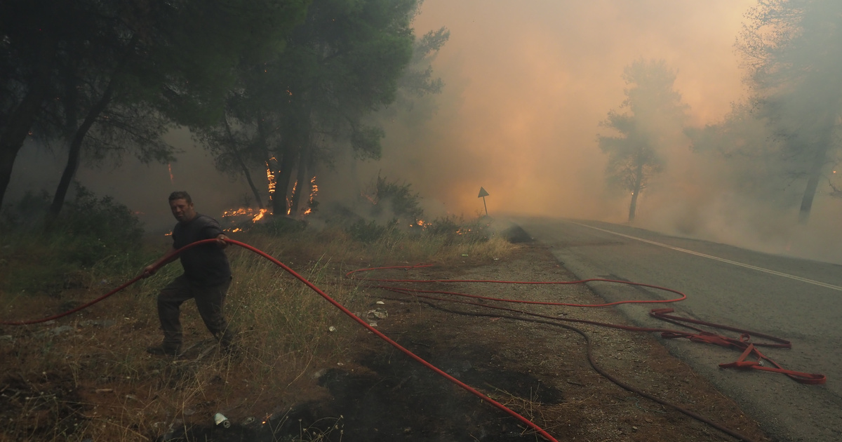 Σε επιφυλακή τη νύχτα οι πυροσβέστες στη Μακρυκάπα Εύβοιας: Κάηκαν κτηνοτροφικές μονάδες και καλλιέργειες
