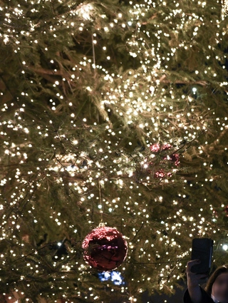 Χριστουγεννιάτικο δέντρο