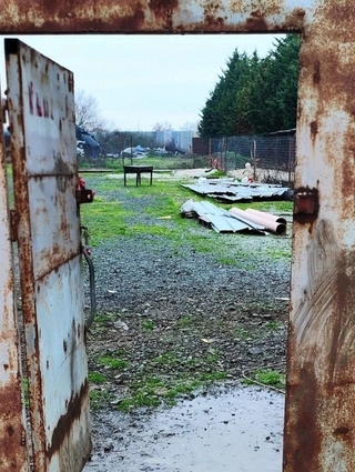 άτυπο-Κυνοκομείο-Αλεξάνδρεια