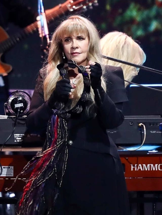 stevie nicks 