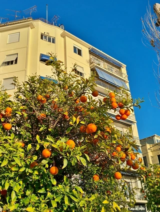 athina-nerantzia