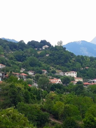 Ανθηρό 