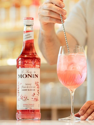 Monin 1