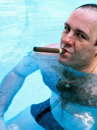 The Sopranos (6 σεζόν)