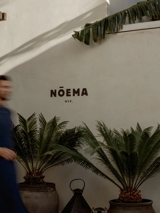 noema geniki 