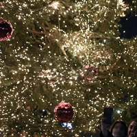 Χριστουγεννιάτικο δέντρο