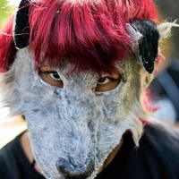 Viral τάση στη Αργεντινή οδηγεί νέους να αυτοπροσδιορίζονται ως ζώα