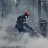 fotia pirosvestiki