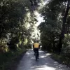 Ποδηλάτες στην Πάρνηθα