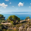 χαλκιδικη παραλια διακοπεσ