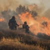 Φωτιά στην Κρήτη