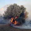 φωτιά Κερατέα