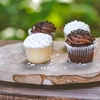 Muffins