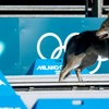 Σκύλος εισέβαλε στους Χειμερινούς Ολυμπιακούς Αγώνες