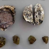apolithomeno_dasos