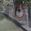 Στιγμιότυπο από βίντεο που ο διανομέας επιτίθεται σε γυναίκα