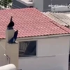 Το δώμα που ζούσε η 8μελής οικογένεια στο Περιστέρι