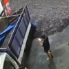 Στιγμιότυπο από το βίντεο με τα ψάρια στην Ινδονησία