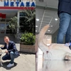 Ντύλαν, ο σκύλος θεραπείας του Μεταξά