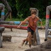 Survivor Σταύρος Φλώρος
