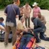 survivor