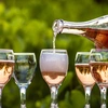 wine