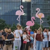 Διαδηλωτές κρατούν ροζ φλαμίνγκο κατά τη διάρκεια διαδήλωσης στα Τίρανα κατά του έργου του Κούσνερ στην Αλβανία