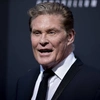 david hasselhof