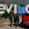 Φωτιά στην Εύβοια