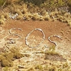 sos
