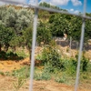 χανια δολοφονια 45χρονη