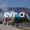 Φωτιά Εύβοια