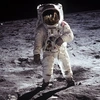 aldrin
