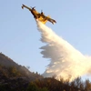 Canadair επιχειρεί σε φωτιά