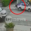 σκύλος Βριλήσσια