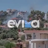 Φωτιά στην Εύβοια κοντά σε κατοικημένη περιοχή