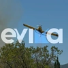 Φωτιά στην Επισκοπή στην Εύβοια