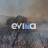 φωτια αλιβερι