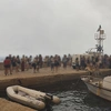 Φωτιά Βοιωτία