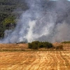 φωτια κερκυρα 