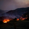 Φωτιά στην Κρύα Βρύση